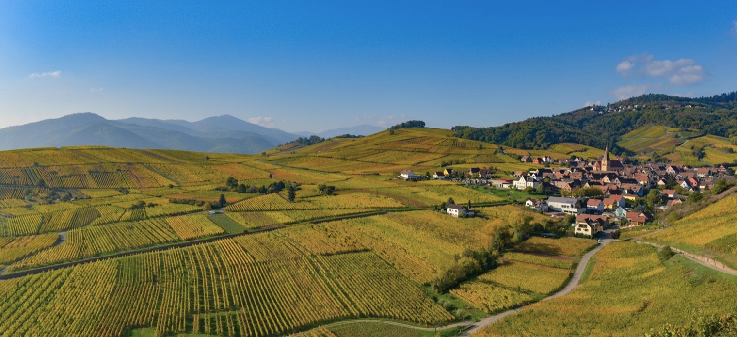 the eventful history of the Alsace land and its different wines and vineyards