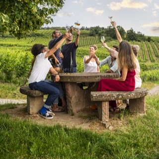 book the Alsace Classic Wine Tours